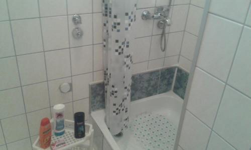 Apartment Dizdarevic