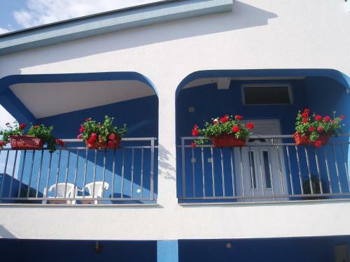 Hostal Pansion Rajic