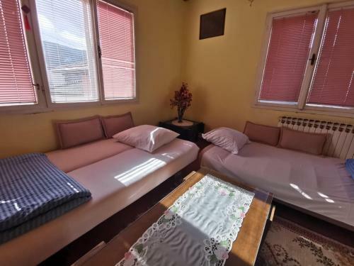 Hostal Mickey's Guest House