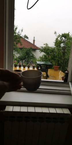 Hostal Mickey's Guest House