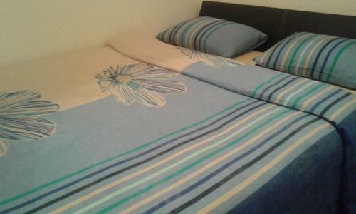 Apartment Centar
