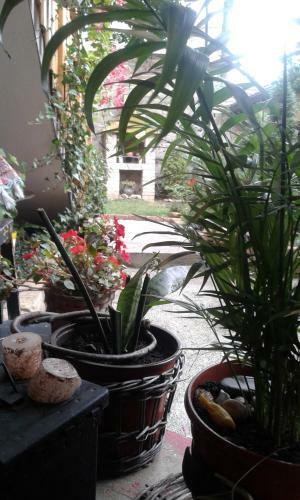 Apartment Centar
