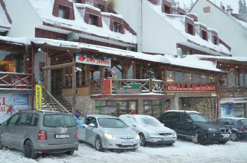 Hotel Dva Javora