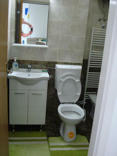 Apartment Sakotic