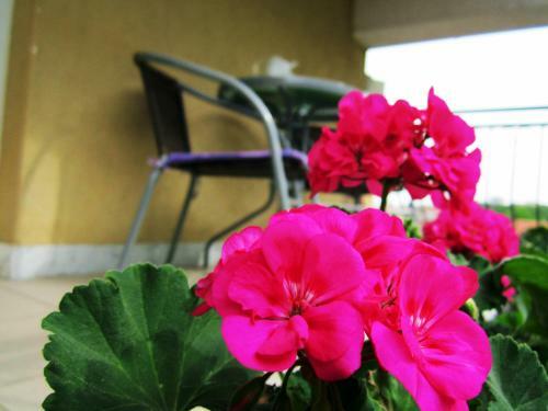 Apartment Katica Mostar