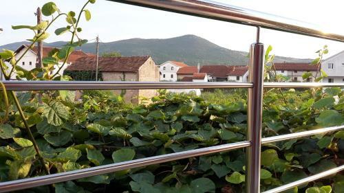 Hostal Pansion Polonia