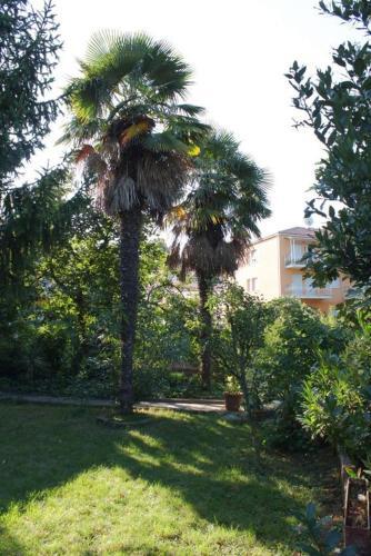 Apartment Umag 7132b