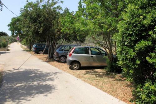 Family Friendly Seaside Apartments Ugljan - 828