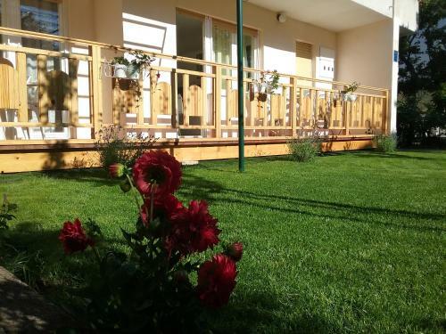 Apartment Mirjana