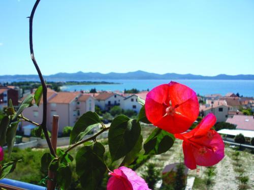 Apartment View
