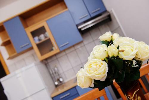 Darijan Apartments