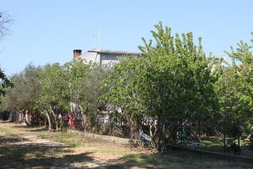 Apartment Sukosan 6133a