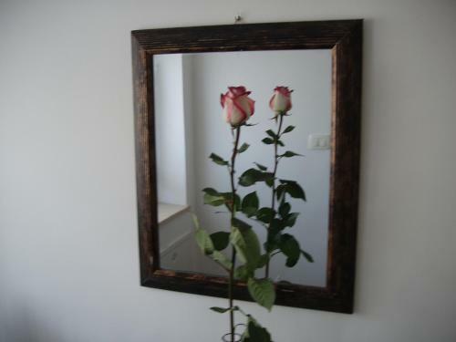 Apartment Rosa