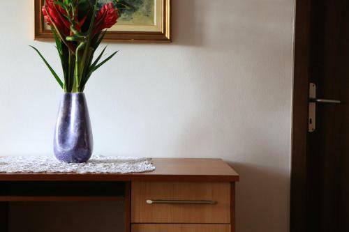 Apartment Rosa