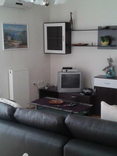 Apartment Rosa