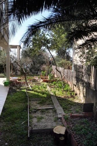 Apartment Baska Voda 6057d