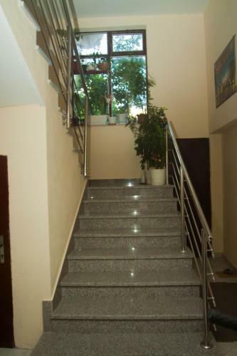 Apartamentos Studios Nina