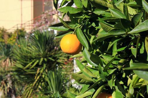 Apartment Sumpetar 9436a