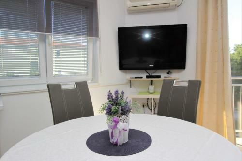 Apartments Zec