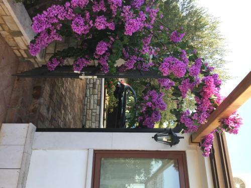 Vera Bed And Breakfast
