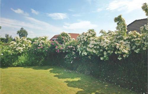 Tisvildelund Vejby Denm