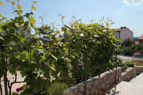 Apartment Punat 5344b