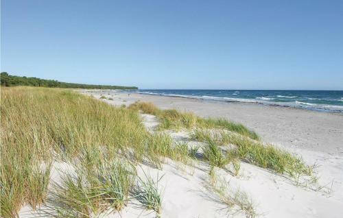 Rubins�en Skovhuse Hasle