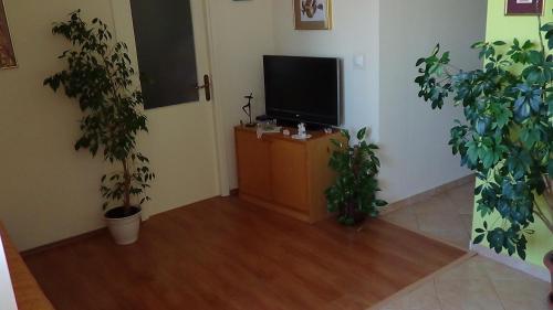 Apartment Bella