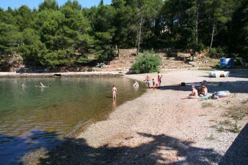 Apartment Stari Grad 8726b