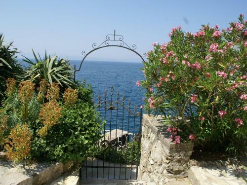 Apartment Villa Dora 1