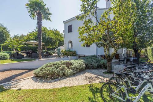 Apartments Bori