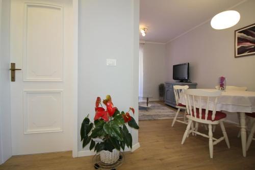 Apartment Porec, Mirna River 3
