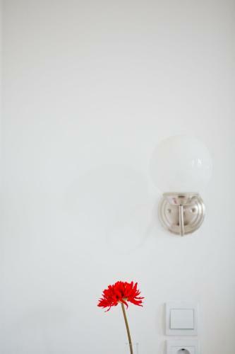 Hostal Rooms Zagreb 17