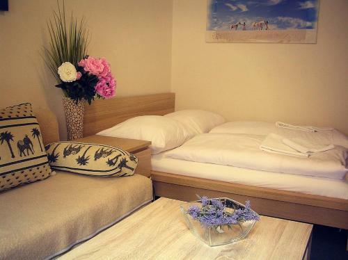 Hostal Penzion Marriot