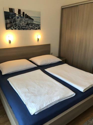 Apartment Branka