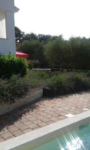 Jurman Apartment