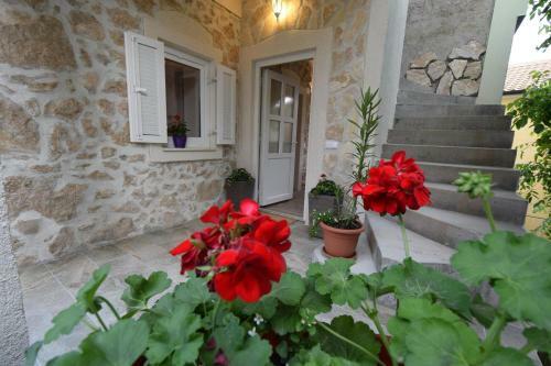 Apartment Neven