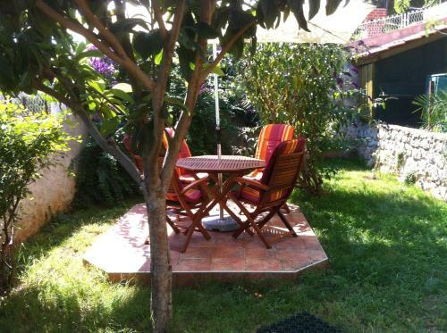 Apartments Jelen