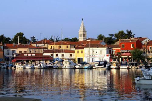 Apartment Novigrad 6936c
