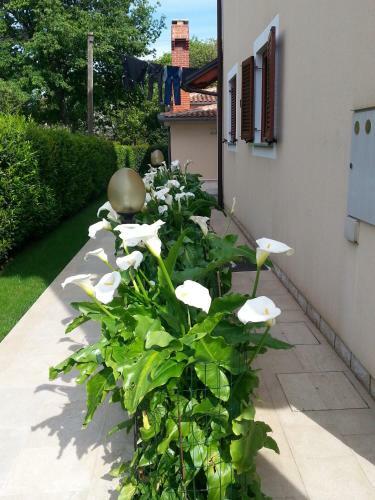 Nevija B&B