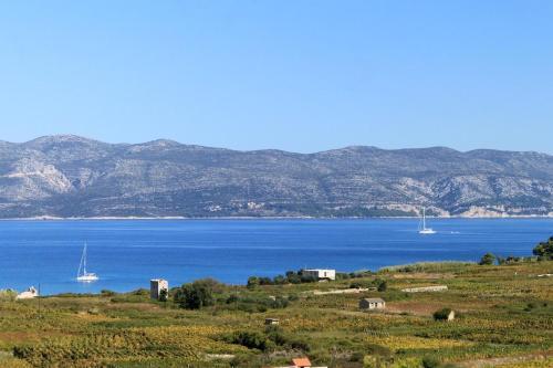 Apartments With A Parking Space Lumbarda (korcula) - 9271