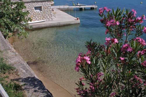 Apartment Supetarska Draga - Gornja 11579e