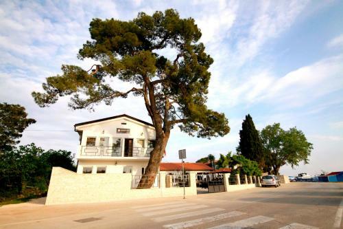 Hi Hostel Zadar