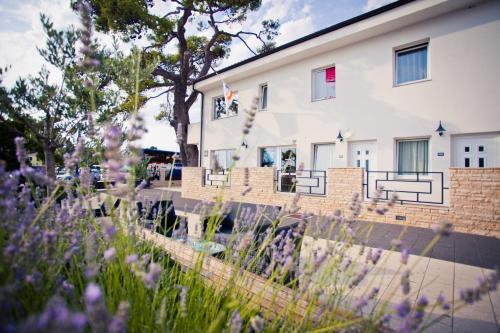 Hi Hostel Zadar