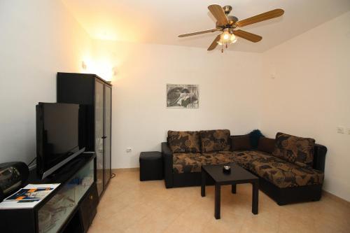Apartments Viola