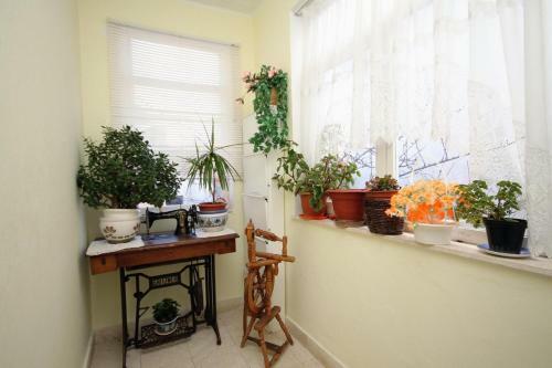 Apartment Marina 5953a