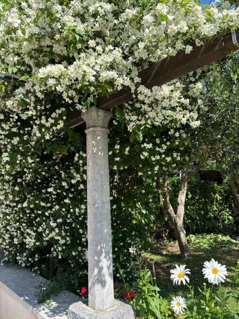 Hostal Villa Anica