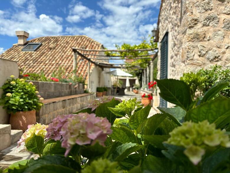 Hostal Villa Anica