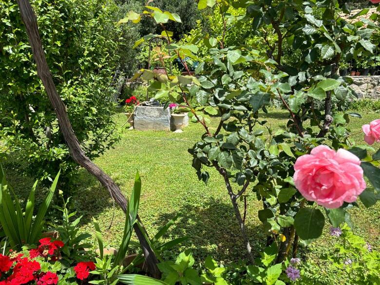 Hostal Villa Anica