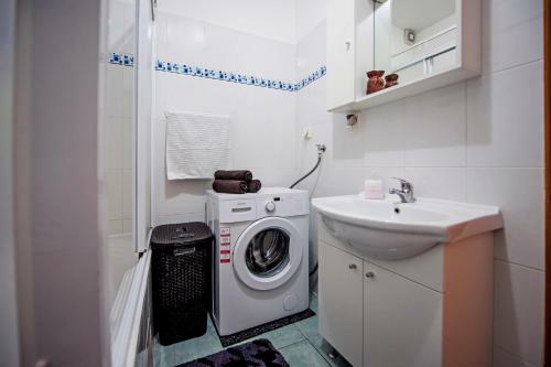Apartment Rogi?